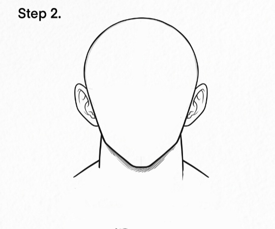 Outline of Goku jaw line and ears